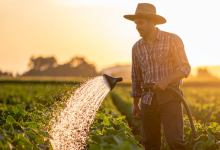Desenvolvimento rural em foco: João Eustáquio De Almeida Junior analisa como a agricultura impulsiona infraestrutura, gera renda e melhora a qualidade de vida no campo.