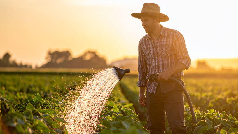 Desenvolvimento rural em foco: João Eustáquio De Almeida Junior analisa como a agricultura impulsiona infraestrutura, gera renda e melhora a qualidade de vida no campo.