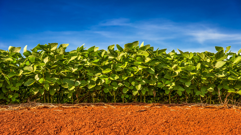 Como mostra João Eustáquio De Almeida Junior, a agricultura é motor do desenvolvimento rural, fortalecendo infraestrutura, renda e bem-estar nas comunidades do campo.